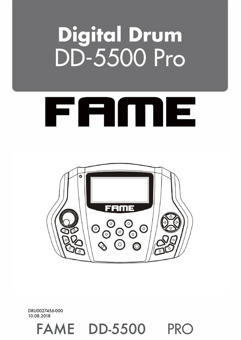 FAME DD-5500 PRO manual