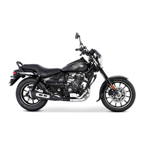 Avenger 160 STREET manual