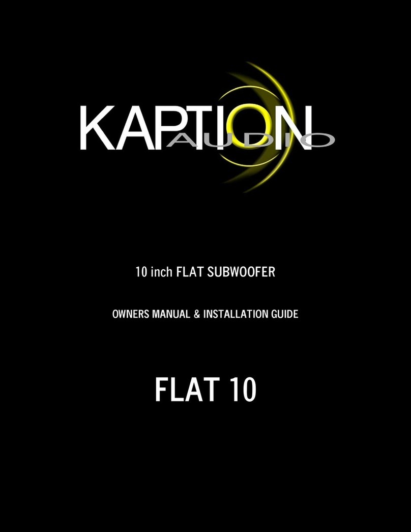 Kaption Audio FLAT 10 Troubleshooting guide