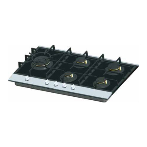 German pool GP50-TG user manual