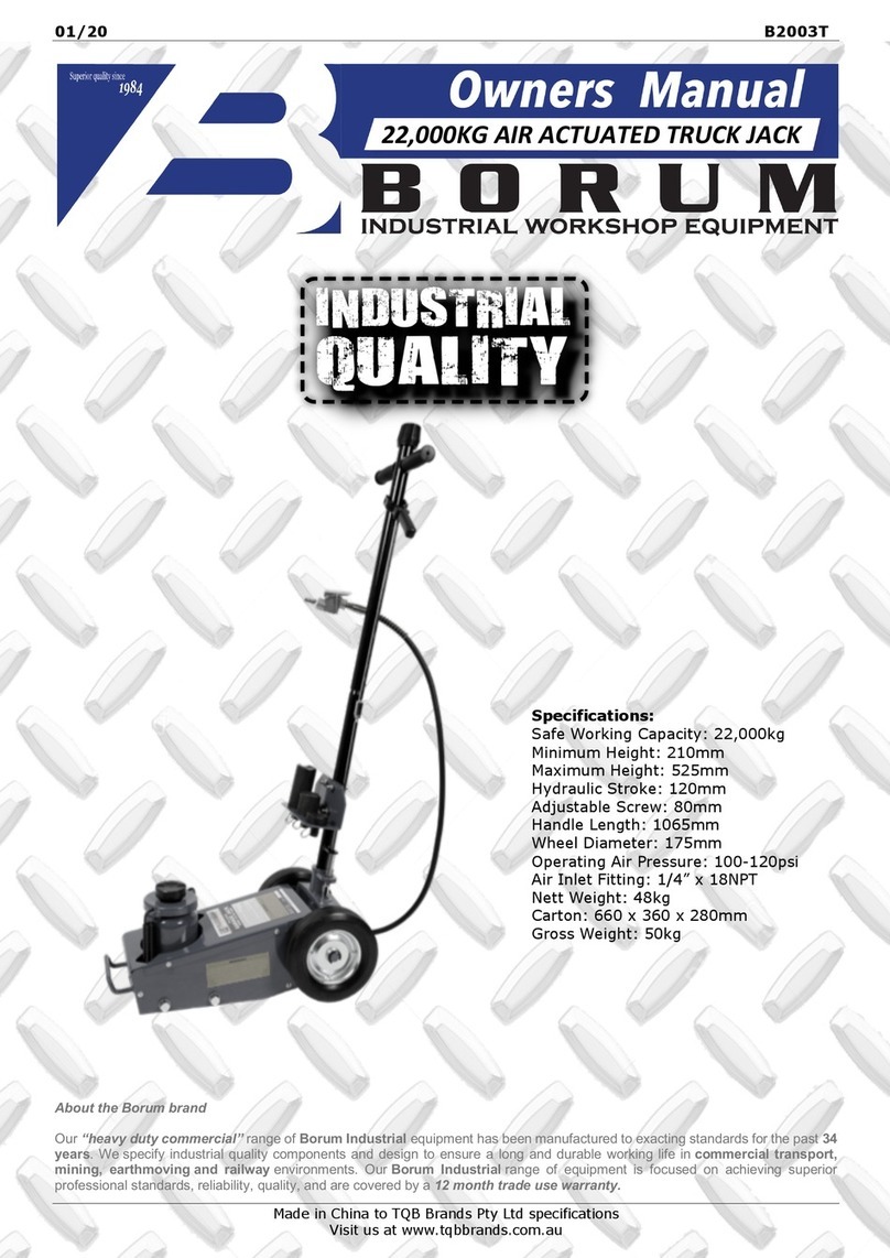Borum B2003T owner's manual