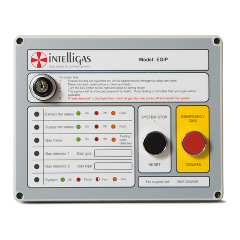 Intelligas EGIP Read me