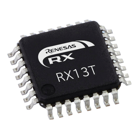 Renesas RX100 Series User manual