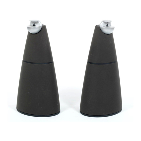 Bang & Olufsen BeoLab 9 Guide