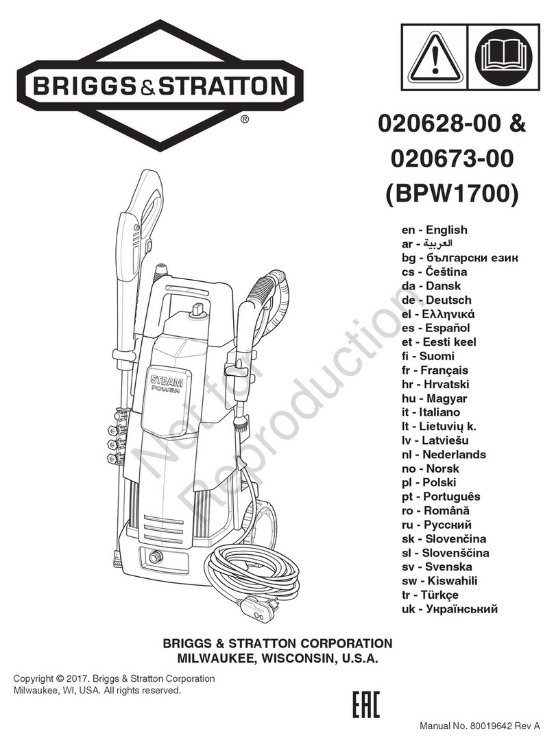 Briggs & Stratton BPW1700 manual