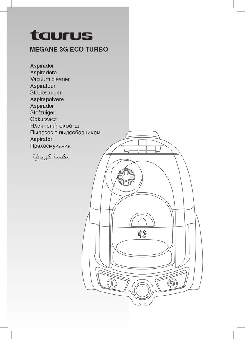 Taurus Megane 3G Eco Turbo User manual