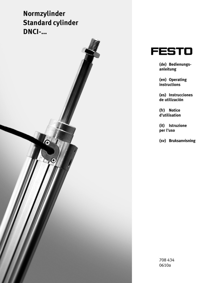 Festo DNCI Series User manual