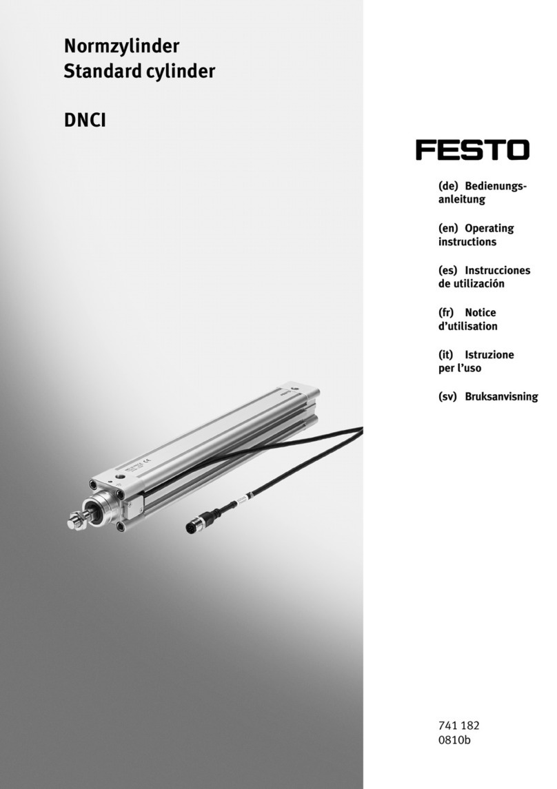 Festo DNCI Series User manual