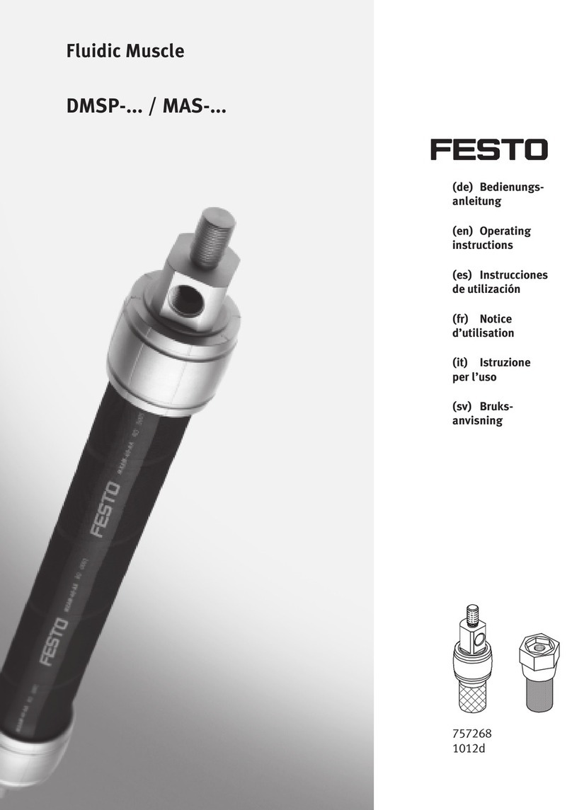 Festo DMSP Series User manual