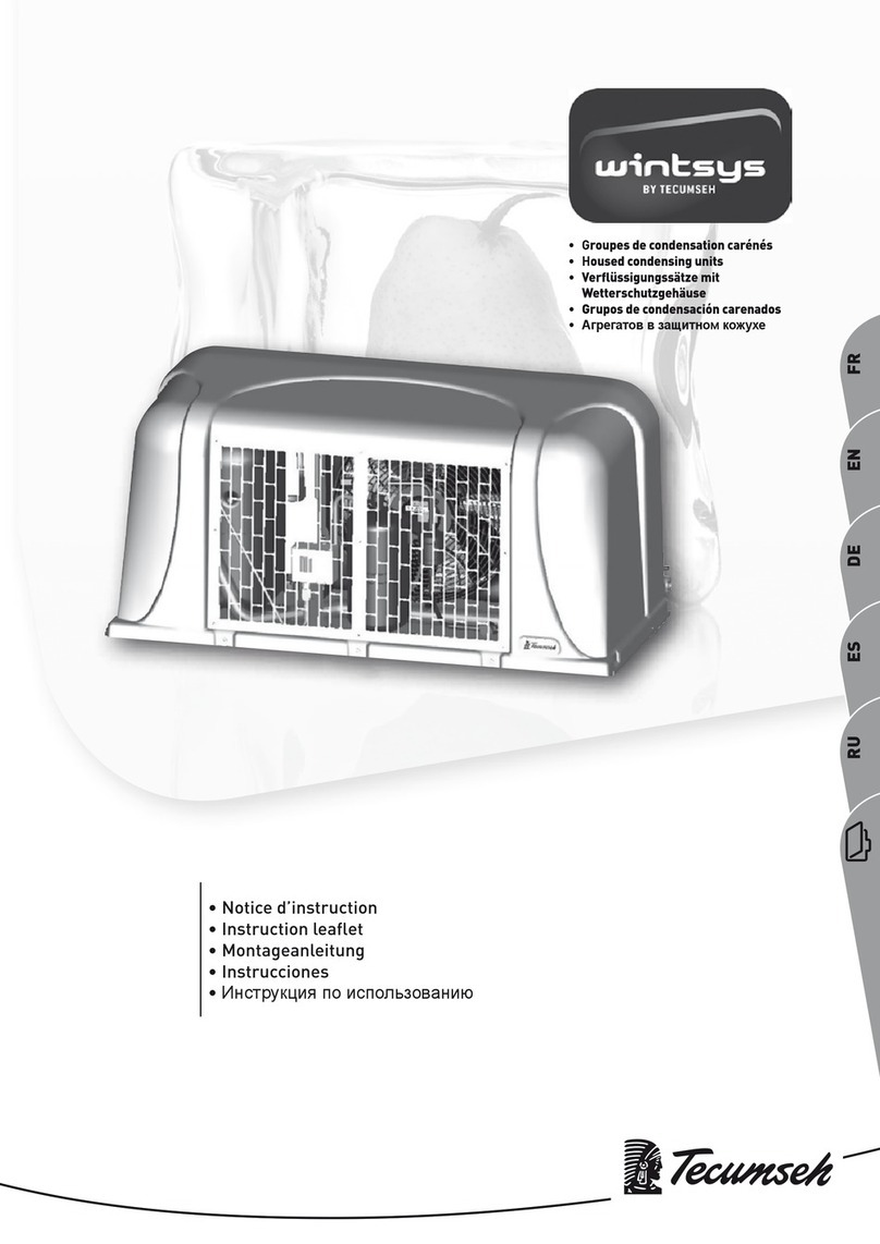 Tecumseh Wintsys WINT9450Z Instruction leaflet