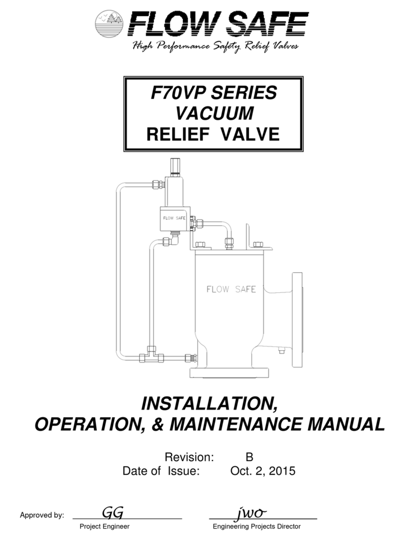 Flow Safe F70VP Series Instruction manual
