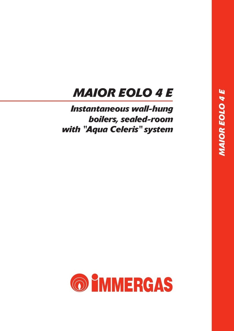 Immergas MAIOR EOLO 4 E Series Technical documentation