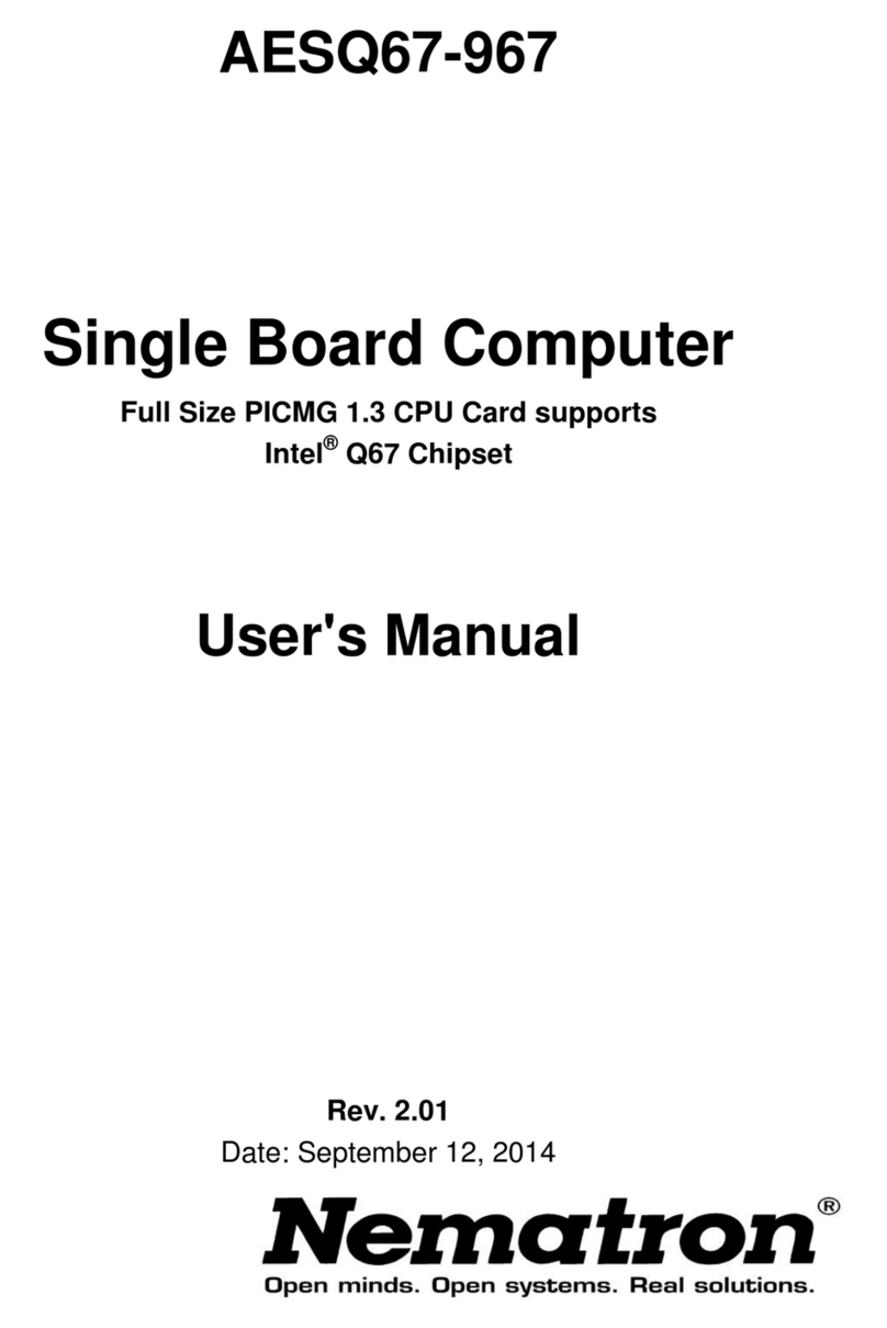 Nematron AESQ67-967 User manual