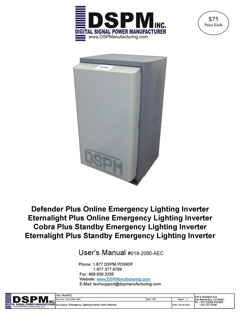 DSPM Defender Plus User manual