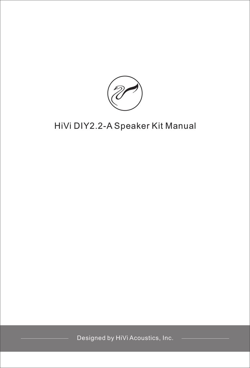 HiVi DIY2.2-A manual