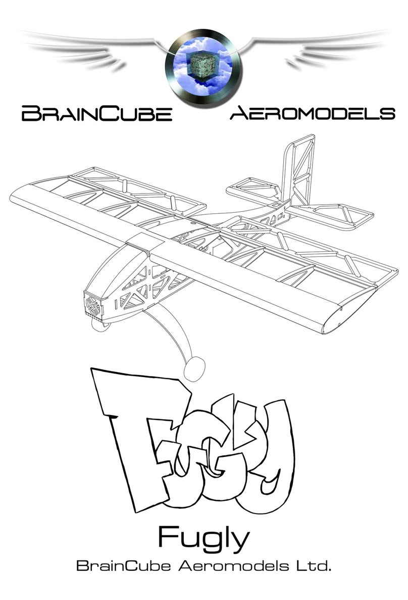 BrainCube Aeromodels Fugly manual