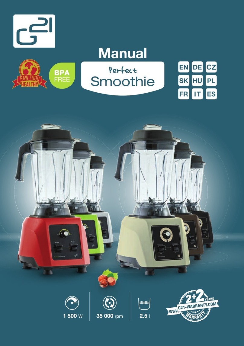 G21 Perfect Smoothie User manual