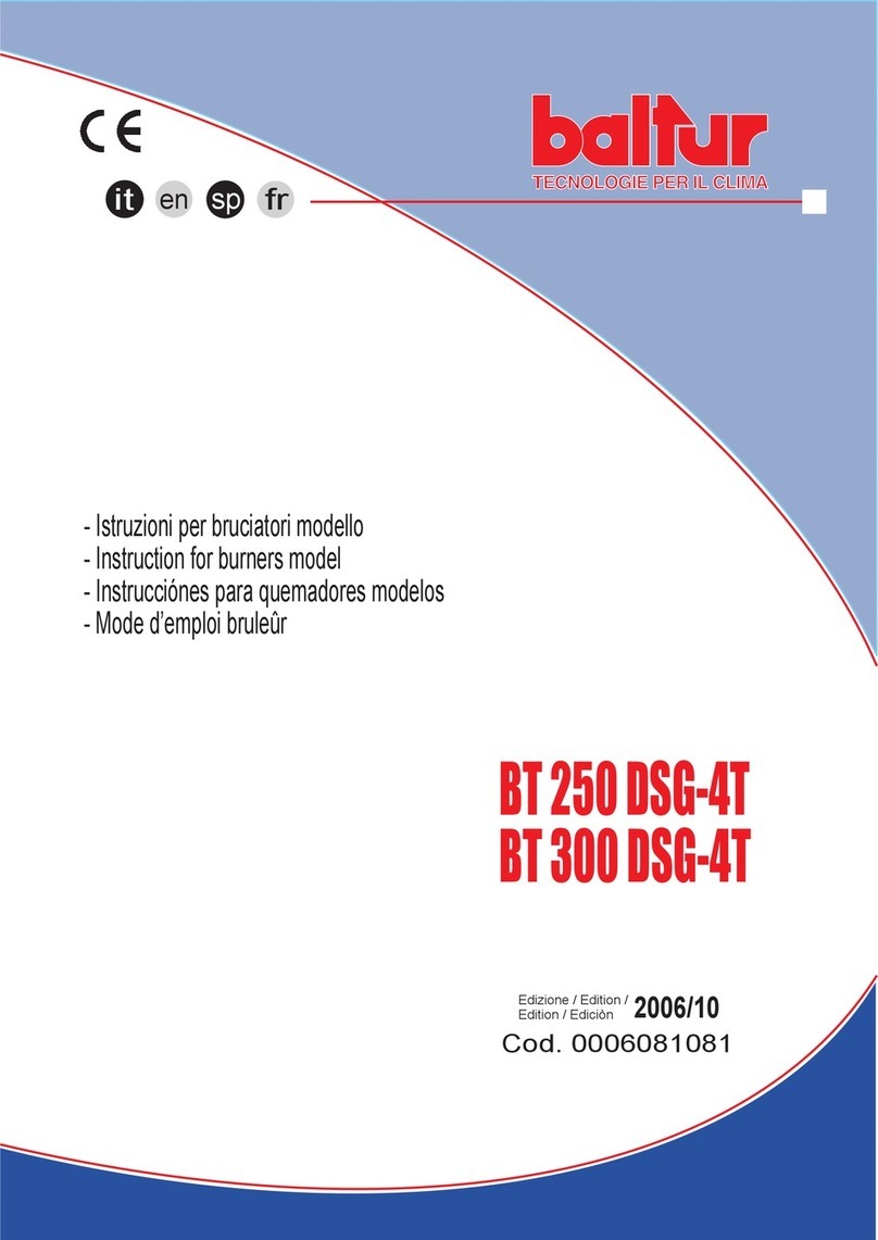 baltur BT 250 DSG-4T User manual
