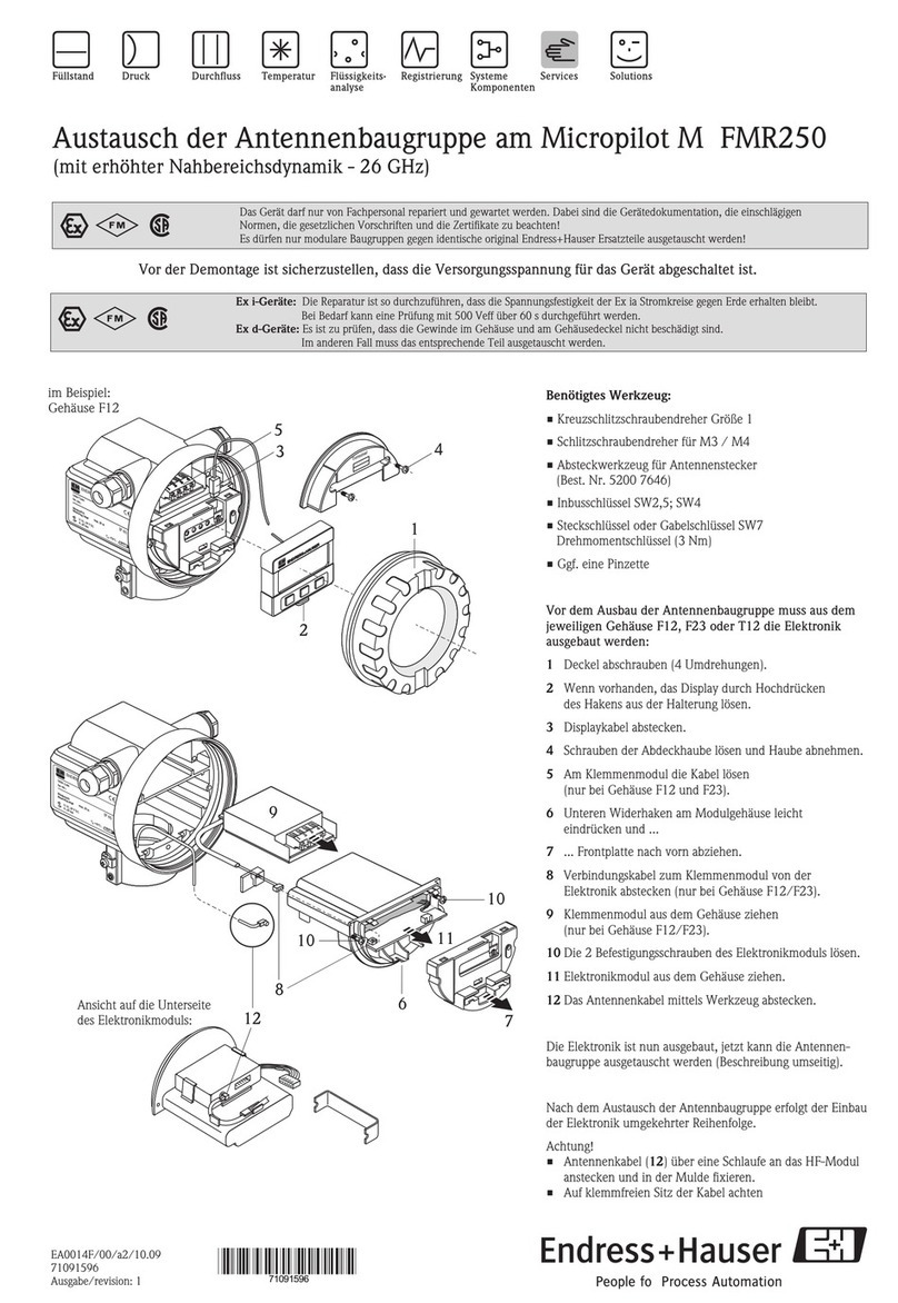Endress+Hauser Micropilot M FMR250 User manual
