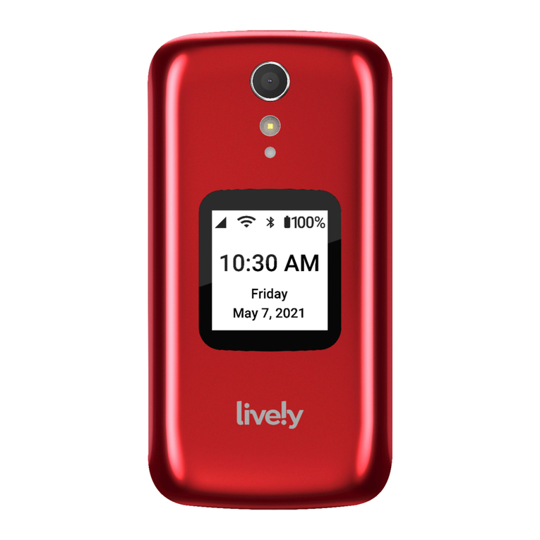 Lively Flip manual