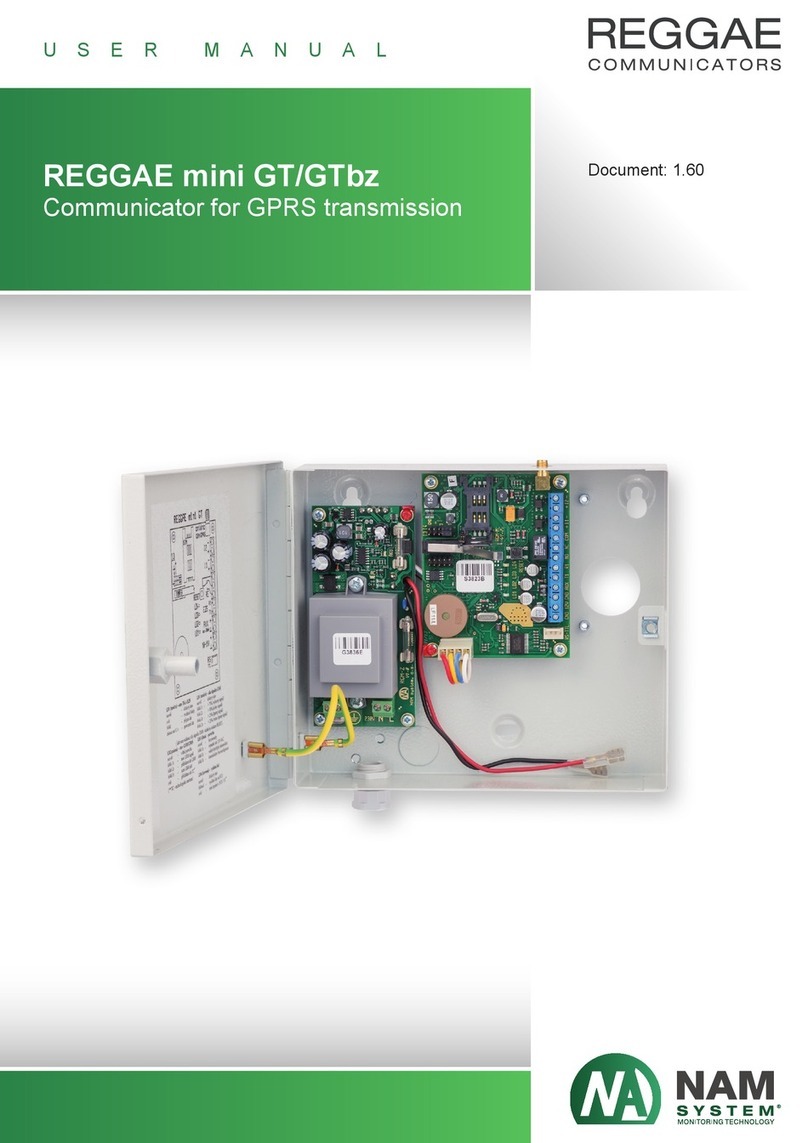 NAM system REGGAE Mini GT User manual