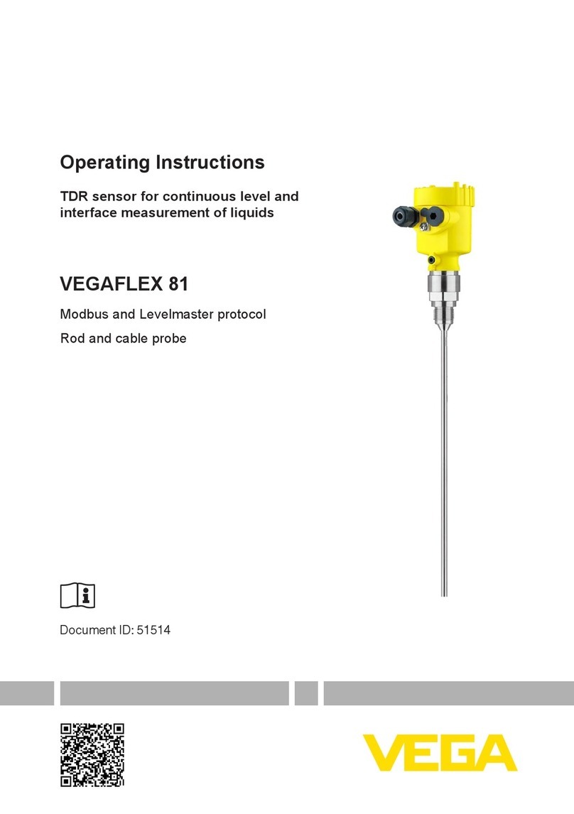 Vega VEGAFLEX 81 User manual