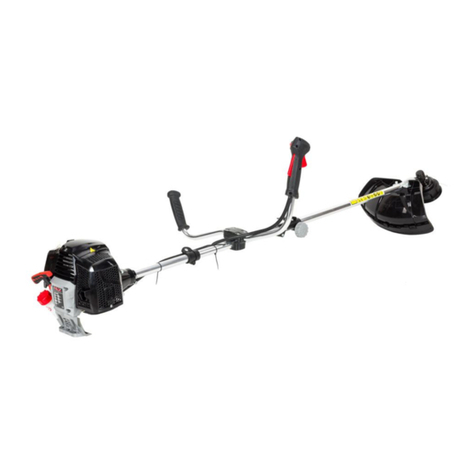 Briggs & Stratton NAX 700B User manual
