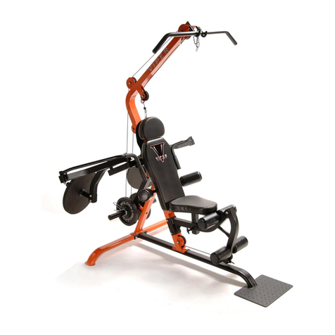 Stamina Viper VG1500 Workout manual