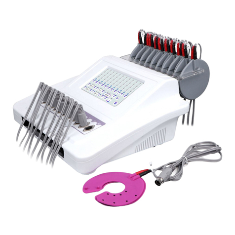 mychway MS-JS3000B User manual