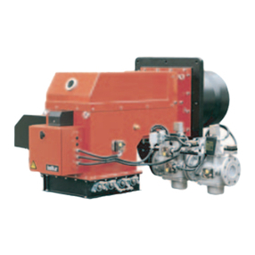 baltur TS 0 GN User manual