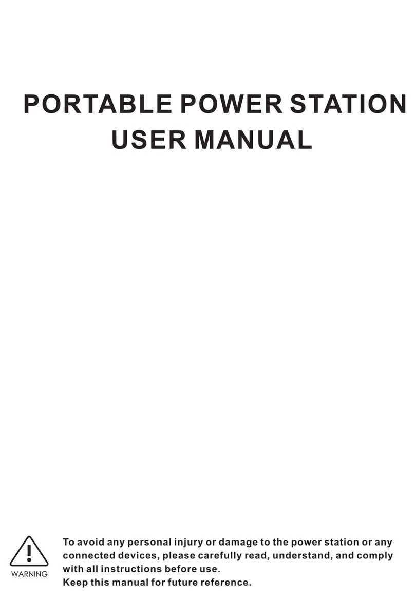 Litionite A250 user manual