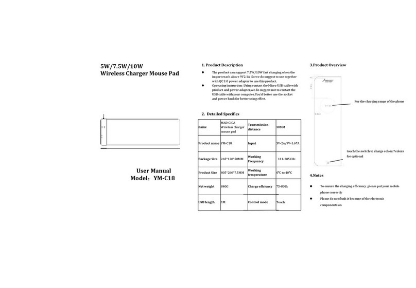 MAD GIGA YM-C18 user manual
