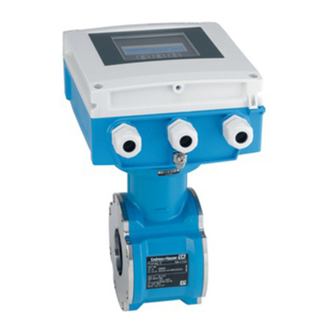 Endress+Hauser Proline Promag D 400 HART User manual