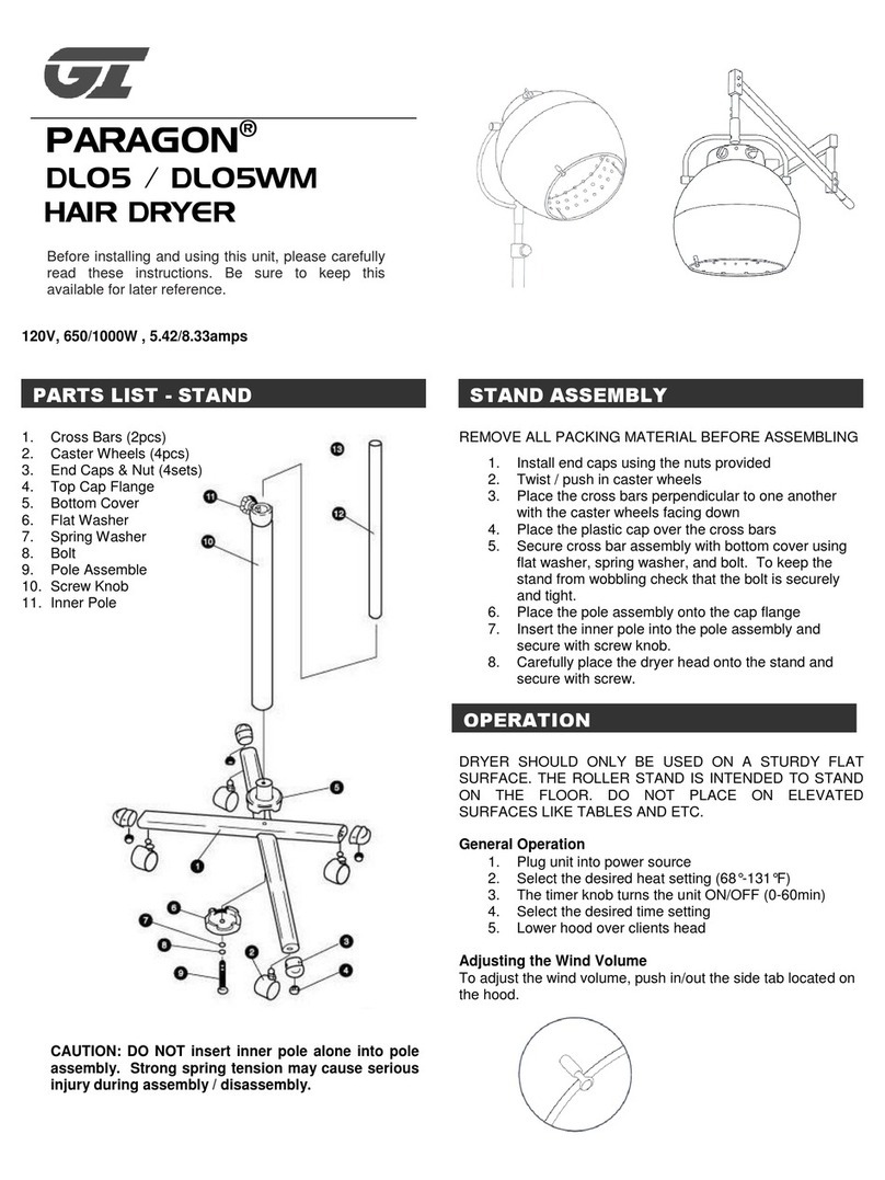 GT PARAGON DL05 manual