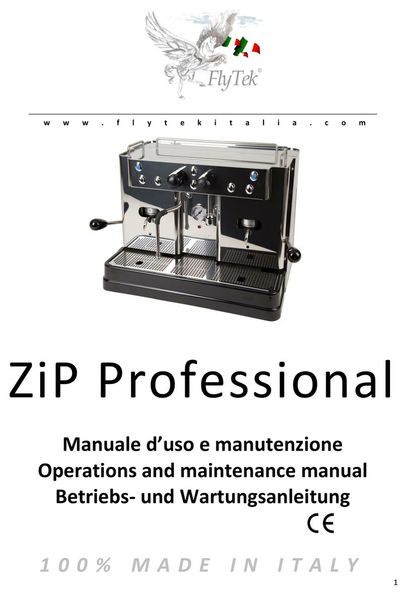 FlyTek ZiP Professional User manual FlyTek ZiP Professional User manual