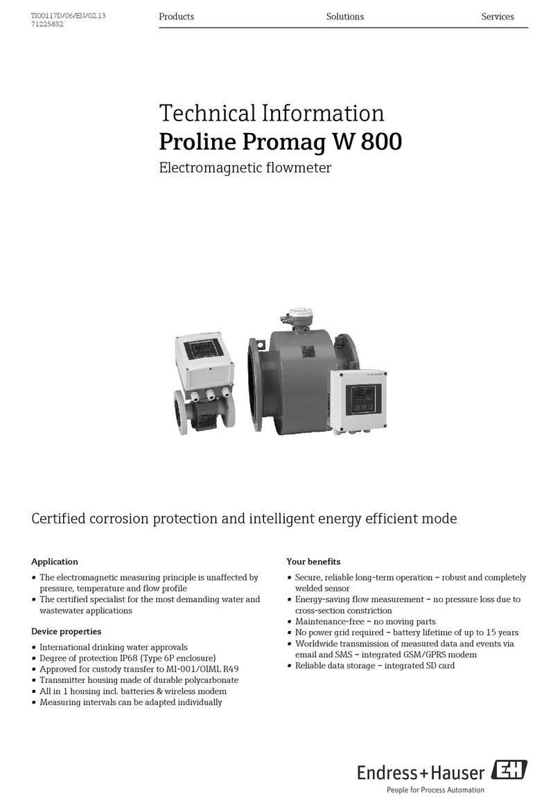 Endress+Hauser Proline Promag W 800 Manual