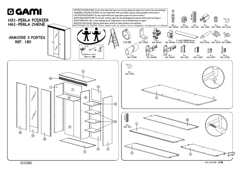 Gami H31-PERLA POIRIER User manual