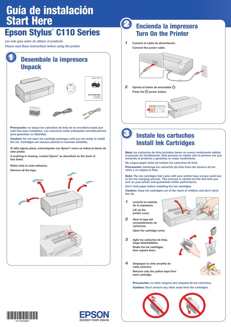 Epson Stylus C110 Series Instruction Manual