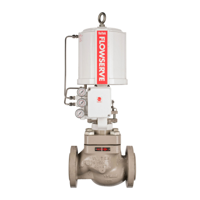Flowserve Valtek Mark Guide