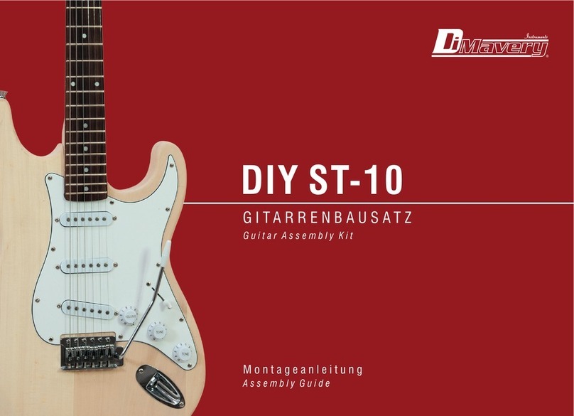 Dimavery DIY ST-10 Assembly guide