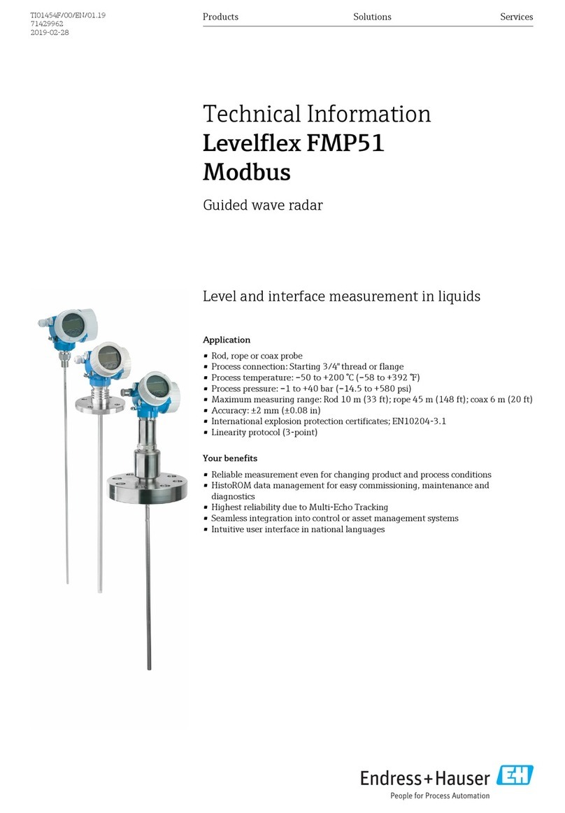 Endress+Hauser Levelflex FMP51 Manual