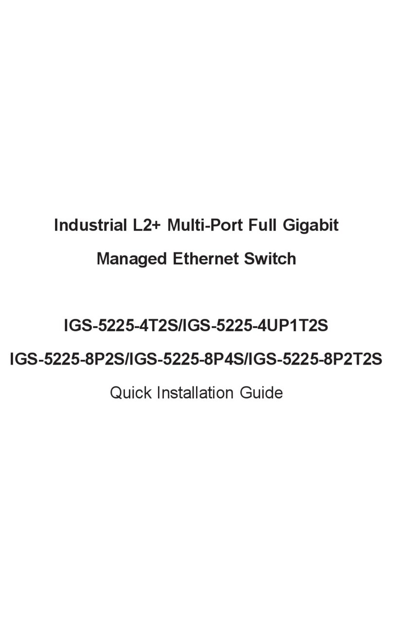 Planet IGS-5225-4T2S User manual