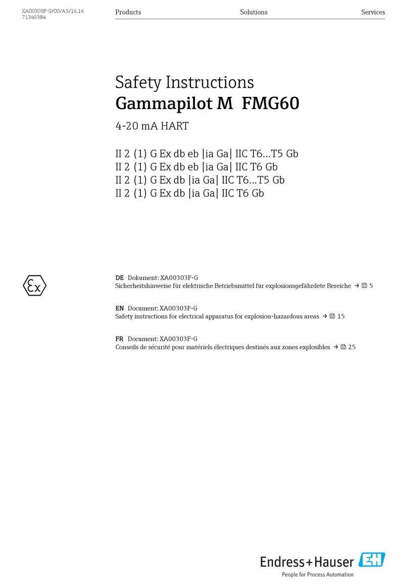 Endress+Hauser Gammapilot M FMG60 Safety instructions