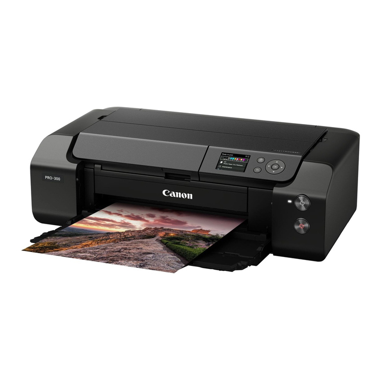 Canon PRO-300 Series Setup guide