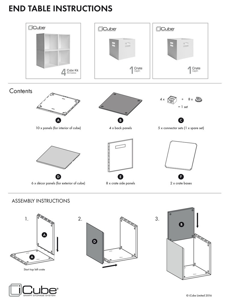 iCube 4 Cube Kit User manual