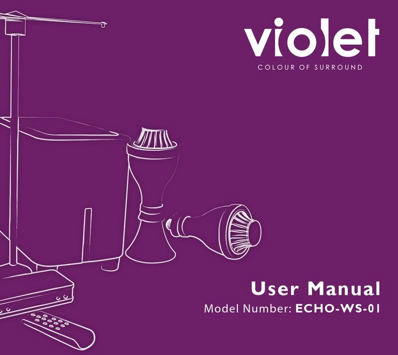 Violet 3D ECHO-WS-01 user manual