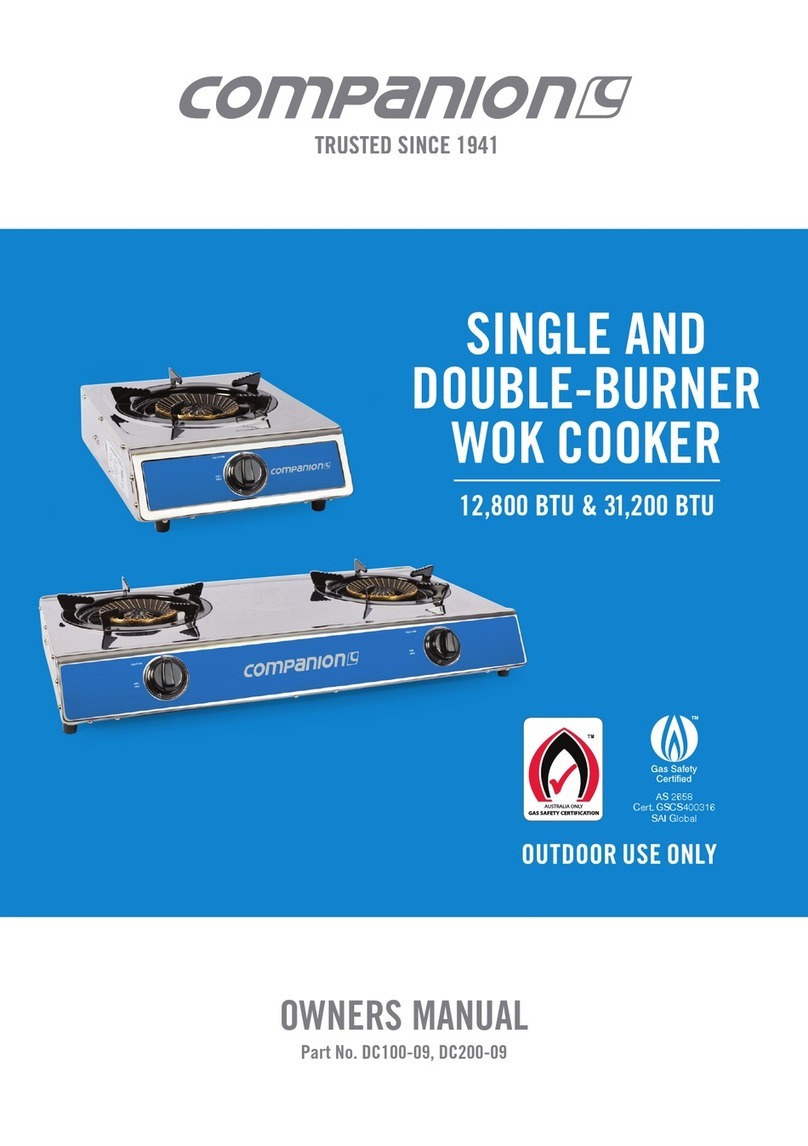 COMPANION DC100-09 User manual