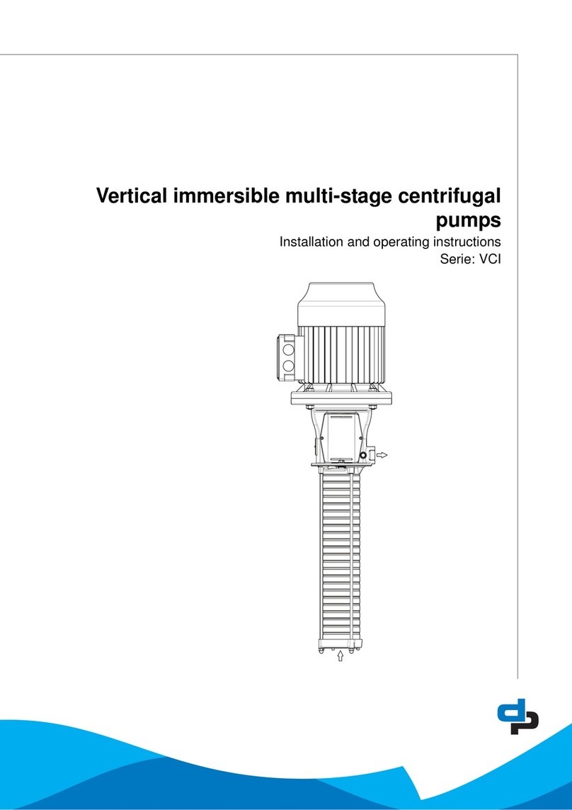 DP Pumps VCI Series Installation and operating instructions DP Pumps VCI Series Installation and operating instructions