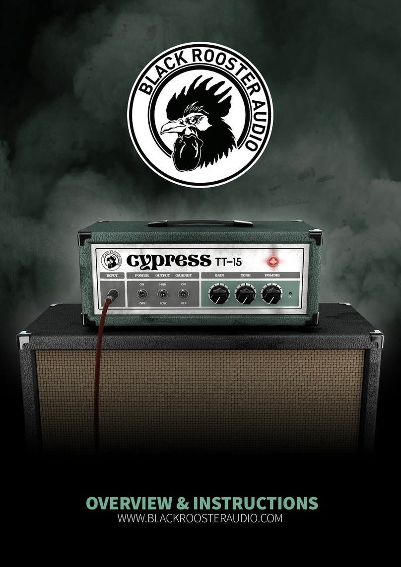 Black Rooster Audio CYPRESS TT-15 OVERVIEW & INSTRUCTIONS