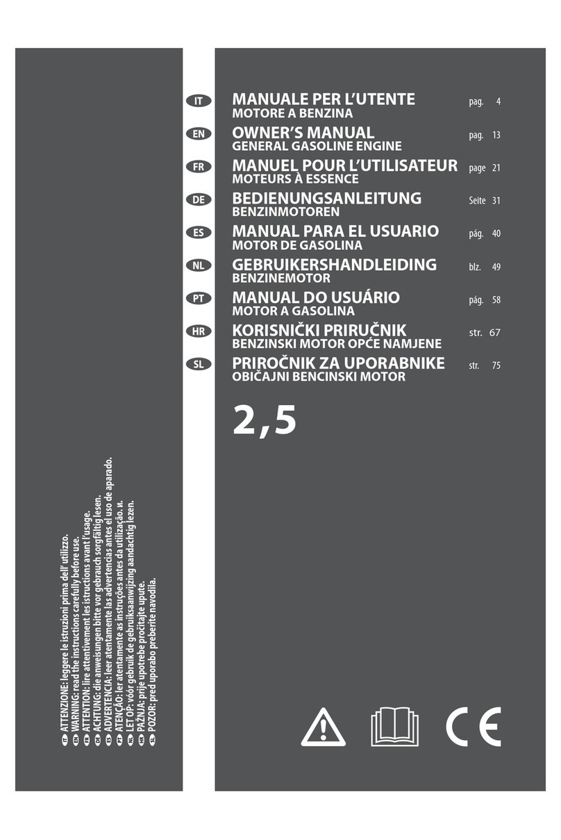 Lavorwash 152F owner's manual
